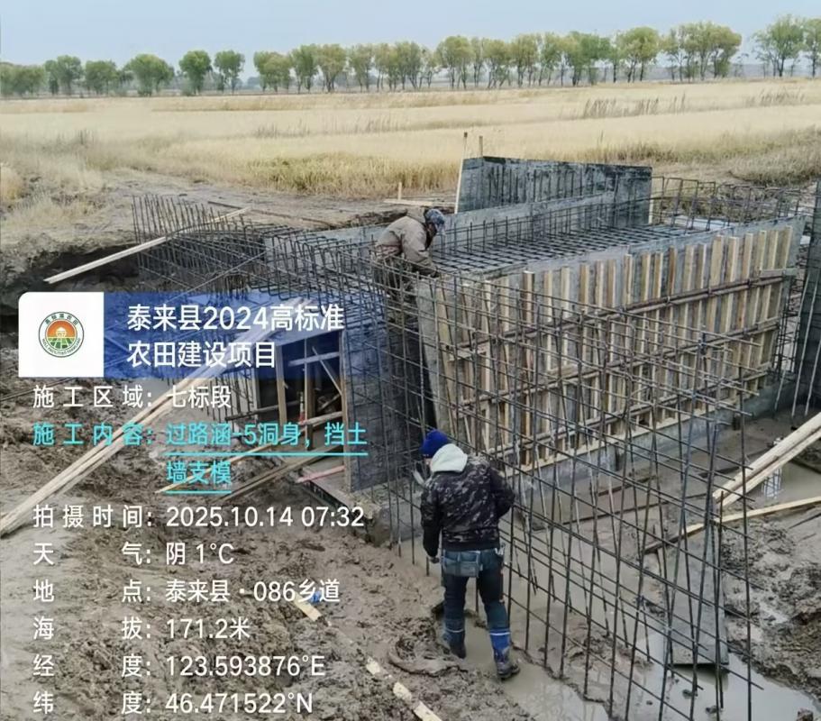 泰来高标农田项目、打板 洞身挡土墙支模 田埂修筑